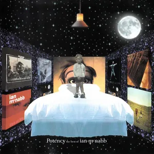 Potency : the best of Ian McNabb